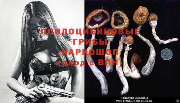 метадон Пестово