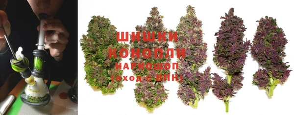 spice Осташков