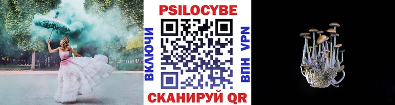 Купить  Сурск  Псилоцибиновые грибы мицелий 
